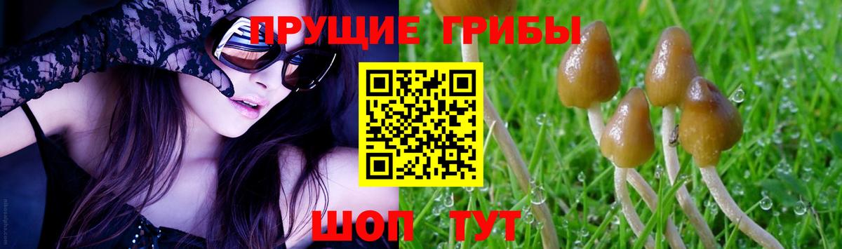 Железноводск  Псилоцибиновые грибы Magic Shrooms  Псилоцибиновые грибы ЛСД  Вход с VPN 